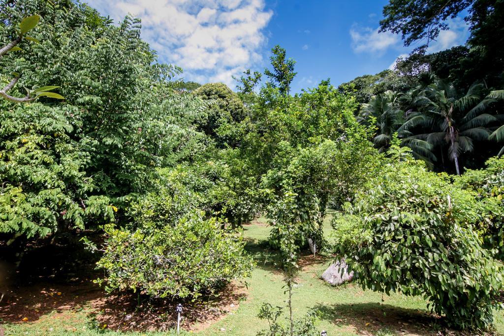 Le Domaine De Bacova Villa Pointe Au Sel Ngoại thất bức ảnh
