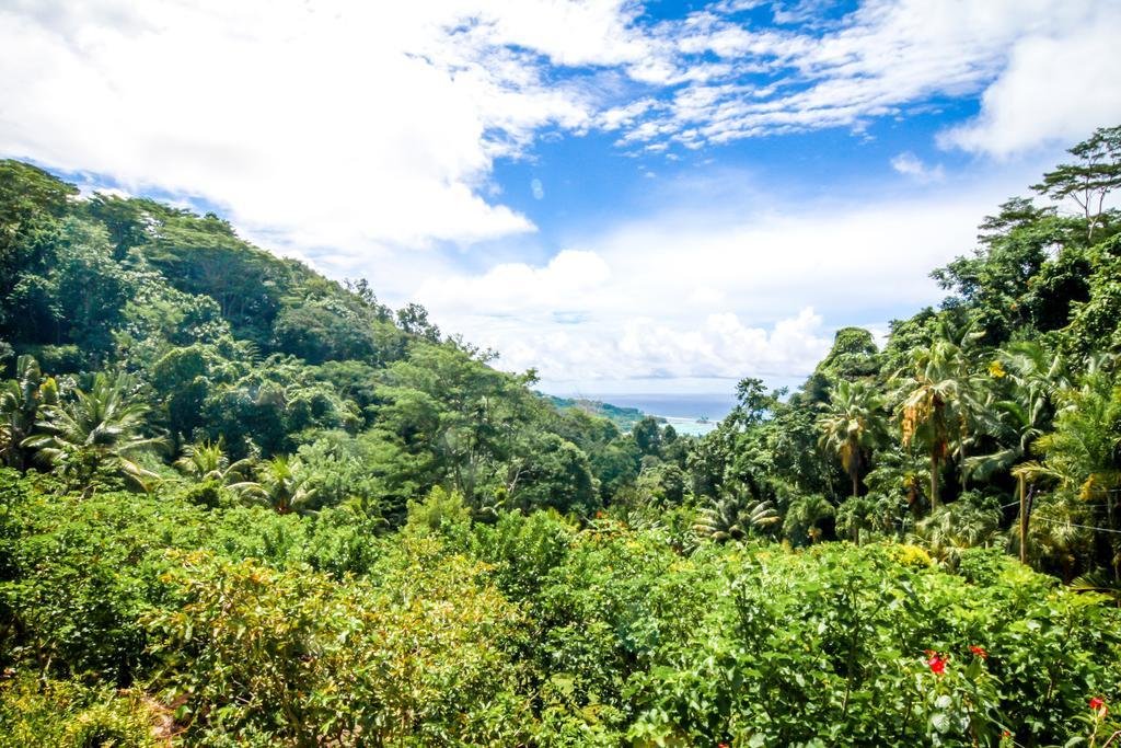 Le Domaine De Bacova Villa Pointe Au Sel Ngoại thất bức ảnh