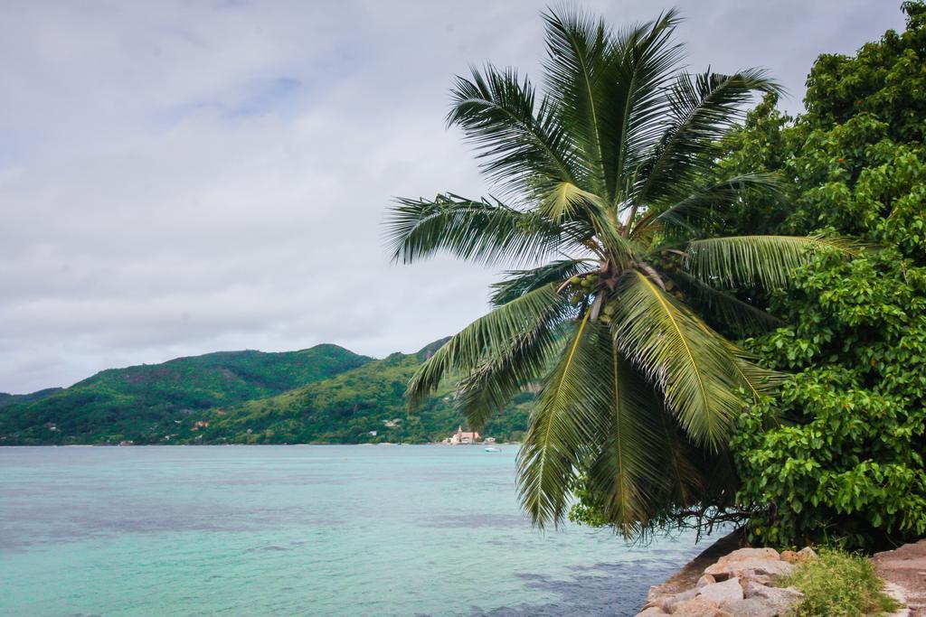 Le Domaine De Bacova Villa Pointe Au Sel Ngoại thất bức ảnh