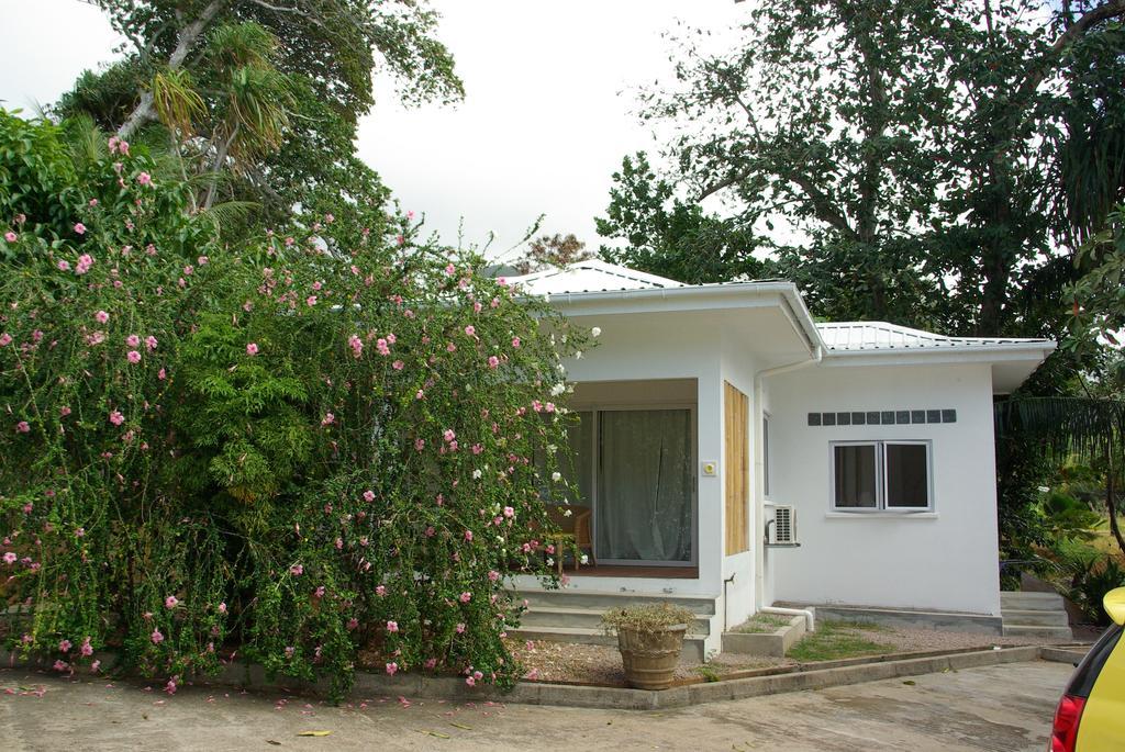 Le Domaine De Bacova Villa Pointe Au Sel Ngoại thất bức ảnh